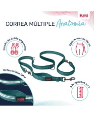 Guinzaglio per Cani Company of Animals Turchese L Guinzaglio per Cani Company of Animals Turchese L