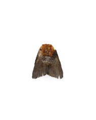 Cibo umido Snackys Pesce Cibo umido Snackys Pesce