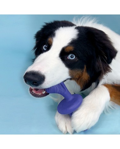 Osso Nylabone Azzurro Bacon L Osso Nylabone Azzurro Bacon L