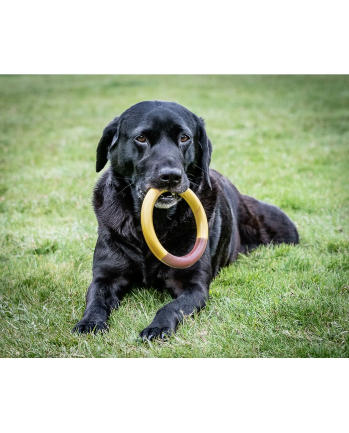 Giocattolo da mordere per cani Nylabone Ring Giallo Sandwich, Hamburger L Giocattolo da mordere per cani Nylabone Ring Giallo Sandwich, Hamburger L