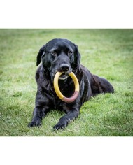 Giocattolo da mordere per cani Nylabone Ring Giallo Sandwich, Hamburger L Giocattolo da mordere per cani Nylabone Ring Giallo Sandwich, Hamburger L