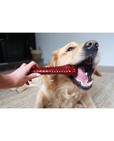 Osso Nylabone Marrone Bacon XL Osso Nylabone Marrone Bacon XL