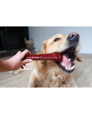 Osso Nylabone Marrone Bacon XL Osso Nylabone Marrone Bacon XL