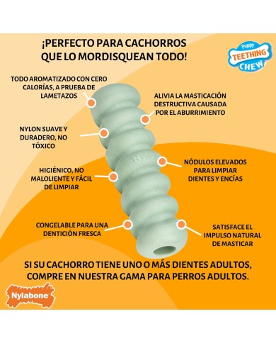 Giocattolo da mordere per cani Nylabone SENSORY TACTILE STICK Verde Burro Di Arachidi Bacon S Giocattolo da mordere per cani Nylabone SENSORY TACTILE STICK Verde Burro Di Arachidi Bacon S