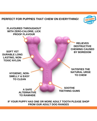 Giocattolo da mordere per cani Nylabone WISHBONE Rosa Pollo XS Giocattolo da mordere per cani Nylabone WISHBONE Rosa Pollo XS