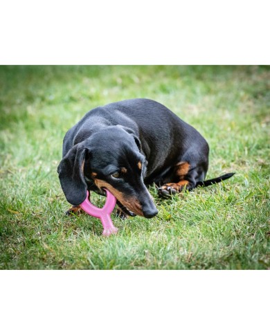 Giocattolo da mordere per cani Nylabone WISHBONE Rosa Pollo XS Giocattolo da mordere per cani Nylabone WISHBONE Rosa Pollo XS