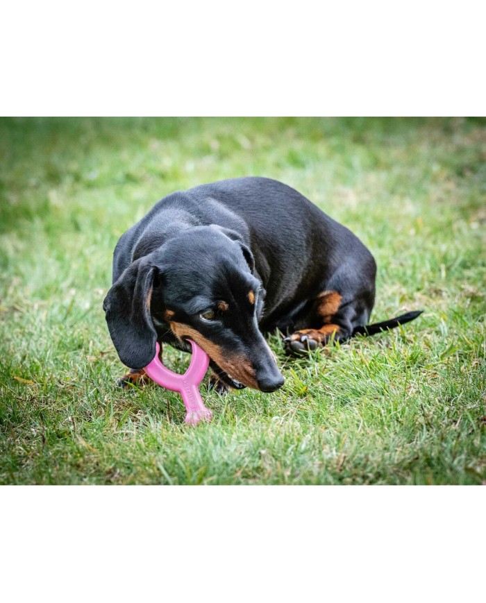 Giocattolo da mordere per cani Nylabone WISHBONE Rosa Pollo XS Giocattolo da mordere per cani Nylabone WISHBONE Rosa Pollo XS