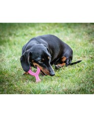 Giocattolo da mordere per cani Nylabone WISHBONE Rosa Pollo XS Giocattolo da mordere per cani Nylabone WISHBONE Rosa Pollo XS