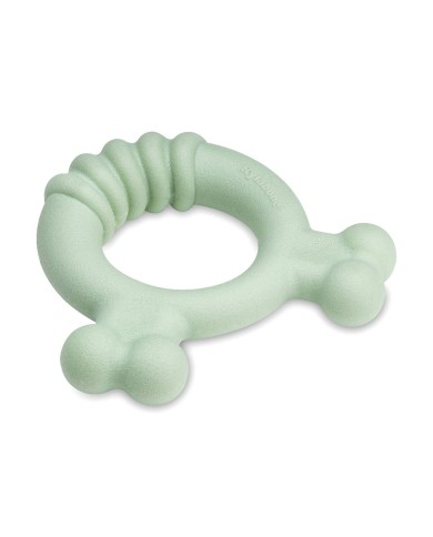 Giocattolo da mordere per cani Nylabone SENSORY TACTILE RING Verde Burro Di Arachidi Pollo S Giocattolo da mordere per cani Nylabone SENSORY TACTILE RING Verde Burro Di Arachidi Pollo S