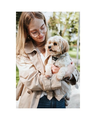 Imbracatura per Cani Hunter DIVO UP Beige L