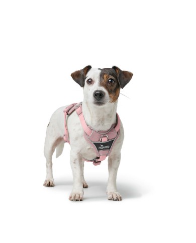 Imbracatura per Cani Hunter DIVO UP Rosa L