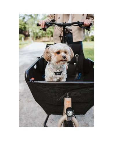 Imbracatura per Cani Hunter DIVO UP Beige S/M