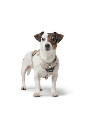 Imbracatura per Cani Hunter DIVO UP Beige XS