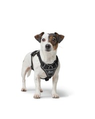 Imbracatura per Cani Hunter DIVO UP Nero S/M Imbracatura per Cani Hunter DIVO UP Nero S/M