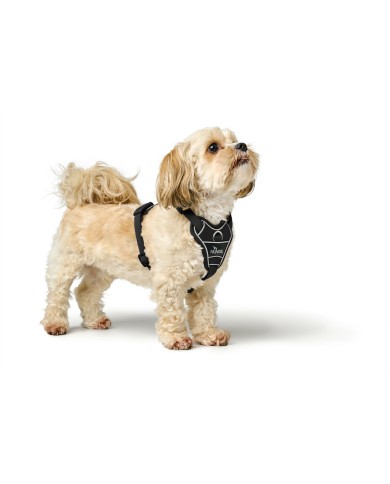 Imbracatura per Cani Hunter DIVO UP Nero S