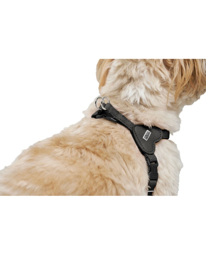 Imbracatura per Cani Hunter SOHO MINI Nero Imbracatura per Cani Hunter SOHO MINI Nero
