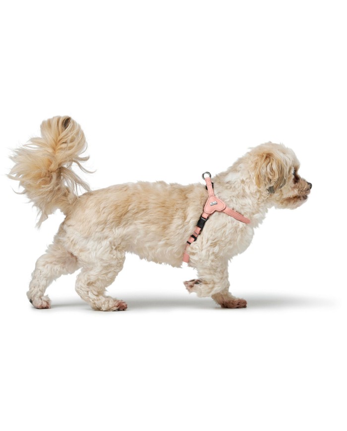 Imbracatura per Cani Hunter SOHO MINI Rosa XS