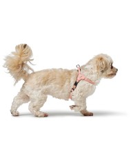 Imbracatura per Cani Hunter SOHO MINI Rosa XS