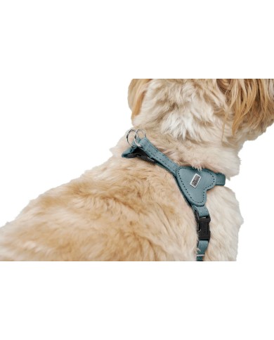 Imbracatura per Cani Hunter SOHO MINI Azzurro XXS/XS