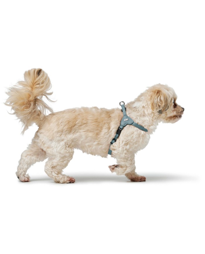 Imbracatura per Cani Hunter SOHO MINI Azzurro XXS/XS Imbracatura per Cani Hunter SOHO MINI Azzurro XXS/XS