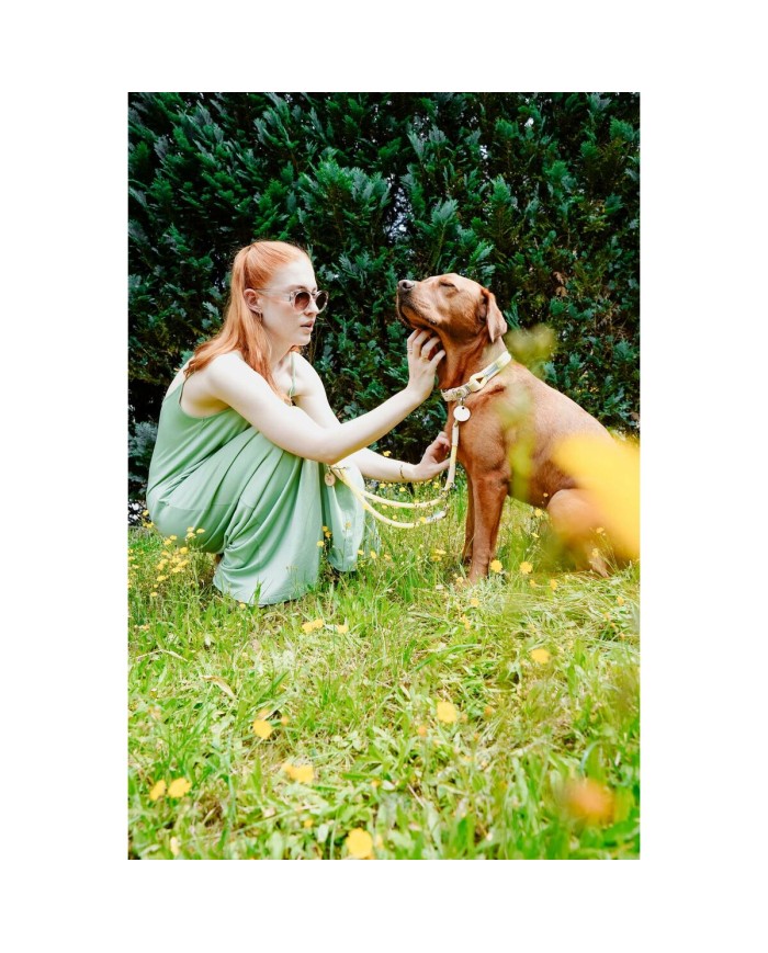 Collare per Cani Hunter Malia Lime 12 40-49 cm