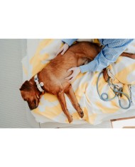 Collare per Cani Hunter MALIA M Azzurro 12 40-49 cm