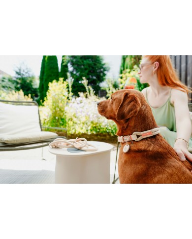 Guinzaglio per Cani Hunter MALIA Beige 1 x 200 cm