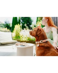 Guinzaglio per Cani Hunter MALIA Beige 1 x 200 cm