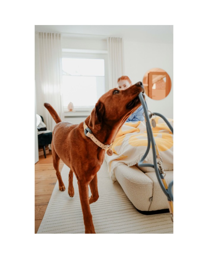 Guinzaglio per Cani Hunter MALIA Azzurro 1 x 200 cm Guinzaglio per Cani Hunter MALIA Azzurro 1 x 200 cm