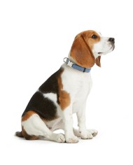 Collare per Cani Hunter VARIO BASIC Azzurro XL 45-65 cm