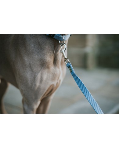 Guinzaglio per Cani Hunter Azzurro 100 cm
