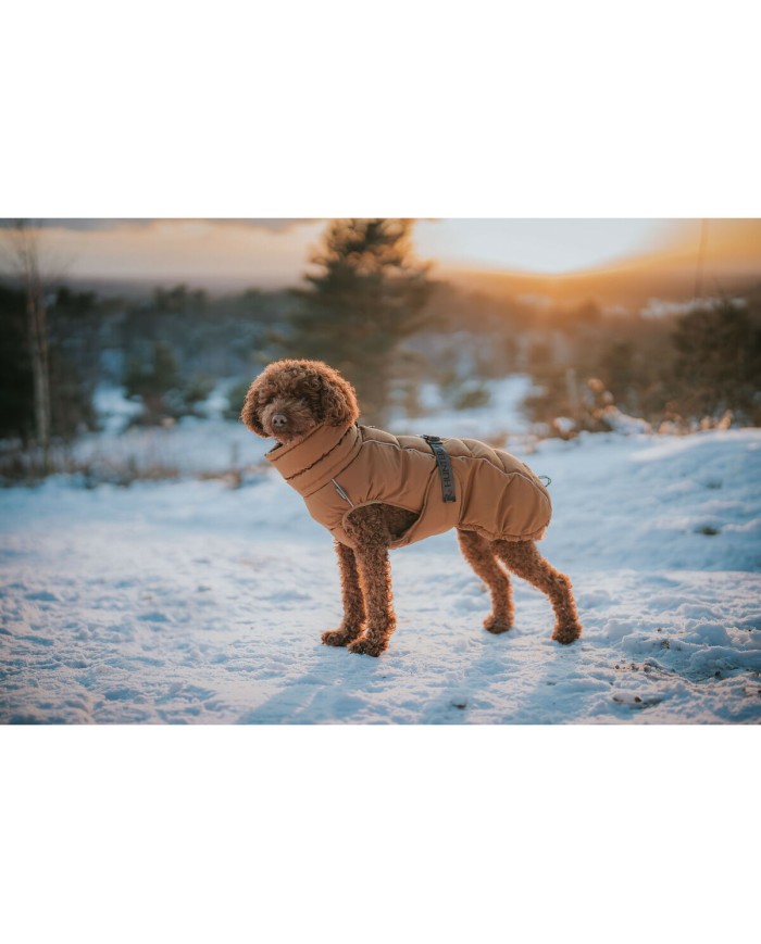 Abbigliamento per animali domestici Hunter PAXSON Marrone Poliestere