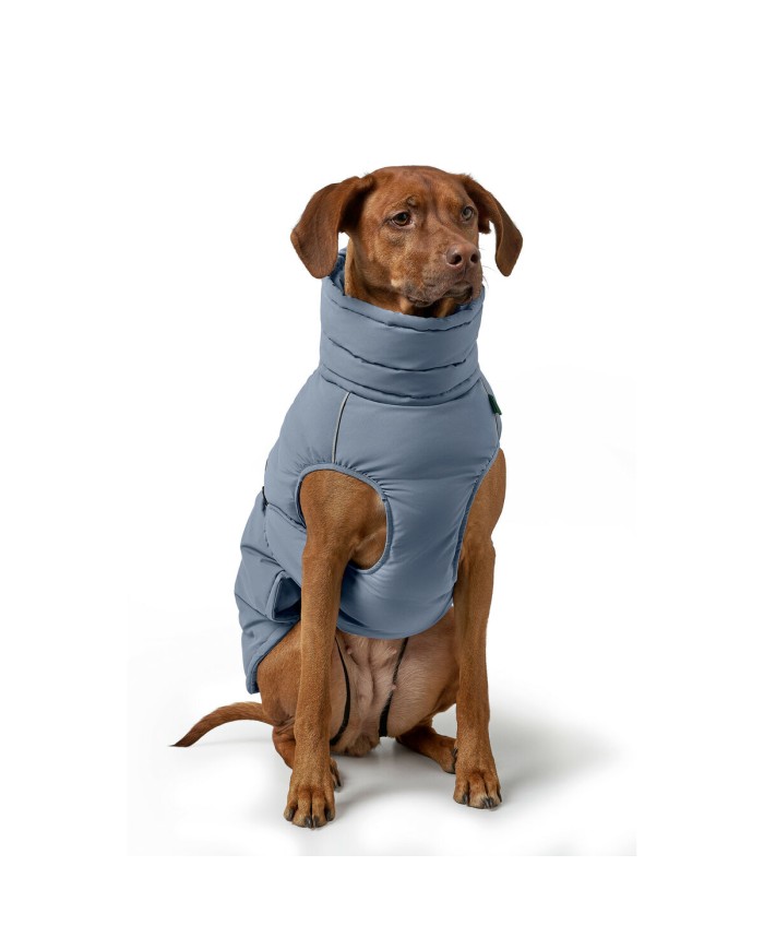 Abbigliamento per animali domestici Hunter PAXSON Azzurro Poliestere