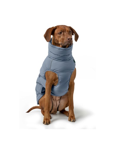 Abbigliamento per animali domestici Hunter PAXSON Azzurro Poliestere