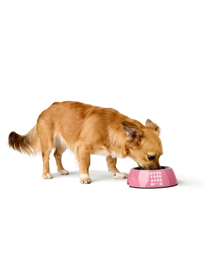 Ciotola per cani Hunter Chester Rosa 160 ml