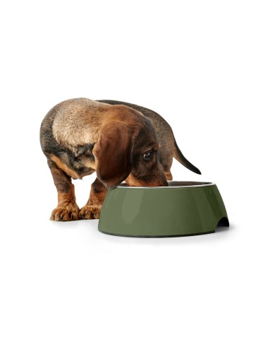 Ciotola per cani Hunter Verde 350 ml Ciotola per cani Hunter Verde 350 ml