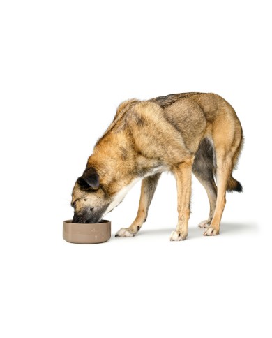 Ciotola per cani Hunter OSBY Beige Ceramica 1,1 L Ciotola per cani Hunter OSBY Beige Ceramica 1,1 L