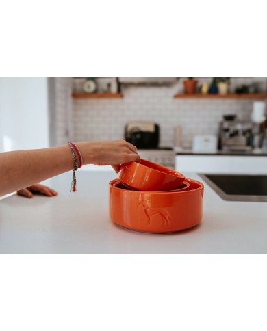 Ciotola per cani Hunter OSBY Arancio Ceramica 550 ml Ciotola per cani Hunter OSBY Arancio Ceramica 550 ml