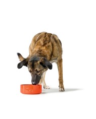 Ciotola per cani Hunter OSBY Orange Ciotola per cani Hunter OSBY Orange