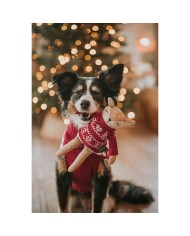 Giocattoli per cani Hunter Birka Marrone Cervo Giocattoli per cani Hunter Birka Marrone Cervo