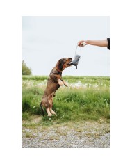 Giocattoli per cani Hunter NEBRASKA Grigio Cavallo Giocattoli per cani Hunter NEBRASKA Grigio Cavallo