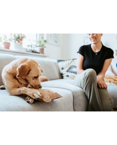 Giocattoli per cani Hunter Tough Tundra Beige Procione Giocattoli per cani Hunter Tough Tundra Beige Procione