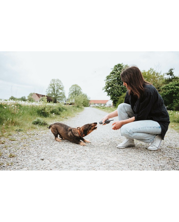 Giocattoli per cani Hunter Nebraska Marrone Mucca Giocattoli per cani Hunter Nebraska Marrone Mucca