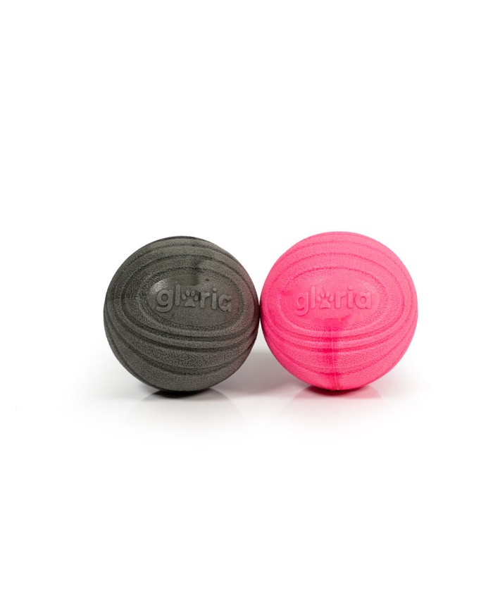 Palla per Animali Domestici Gloria PLAY AND RUN Grigio Schiuma TPR M 6,35 cm 2 Unità Palla per Animali Domestici Gloria PLAY AND RUN Grigio Schiuma TPR M 6,35 cm 2 Unità