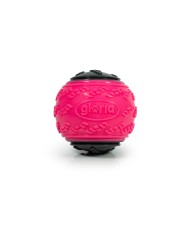 Palla per Animali Domestici Gloria PLAY AND RUN Rosa TPR L 8,89 cm
