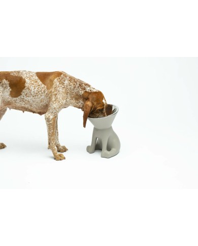 Ciotola per cani United Pets Up Elisabeth Grigio Acciaio inossidabile Polietilene 1 L Ciotola per cani United Pets Up Elisabeth Grigio Acciaio inossidabile Polietilene 1 L