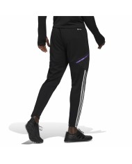 Pantaloncino da Allenamento Calcio per Adulti Real Madrid C.F. Condivo 22 Nero Uomo