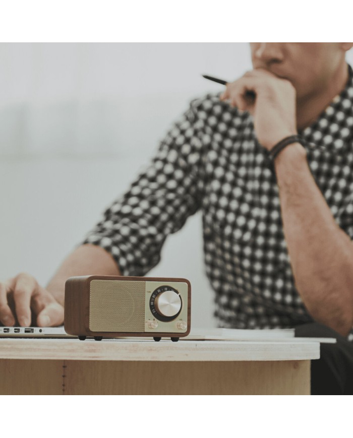 Radio Portatile Bluetooth Sangean Retrò Legno FM