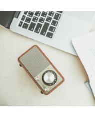 Radio Portatile Bluetooth Sangean Retrò Legno FM