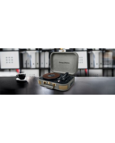 Giradischi Muse MT-201 BTG Verde Grigio